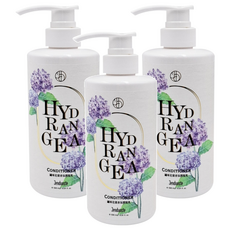 Jenduoste 珍朵絲特 繡球花漾香氛潤髮乳 深層修護保濕 柔順秀髮告別毛躁, 500ml, 3瓶