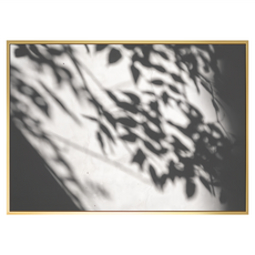 BOLUO GALLERY 菠蘿選畫所 植光掠影I, 金色