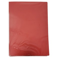 SUANDER 雙德文具 PP主色板100入資料簿 SD100A+C A4, 紅色, 1個