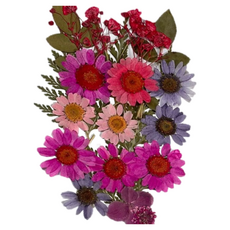 A-ONE 匯旺 真花壓花 中花包 Set 2包, BB09花團錦簇