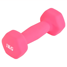 SC優選 鑄鐵包膠小啞鈴棒 矽膠防滑設計 25.5 x 20 x 20cm 粉色, 1個, 1kg