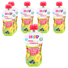 HiPP 喜寶 生機水果趣, 100g, 6包