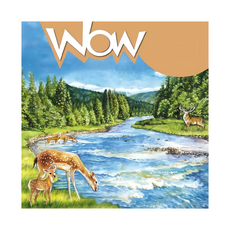 小牛頓 地球奧秘 平裝全彩