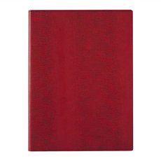 Raymay 藤井 A4紙衣輕質筆記本資料夾 ZVP283R 紅色 31.2 x 23.5 x 1.4cm, 1個