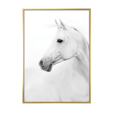 白馬 金框藝術畫, 金色
