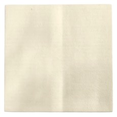 SANKO Okudake Kyuchaku 吸附地墊 100% 聚酯纖維, 30 x 30cm, 象牙白色, 1組