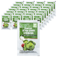 VITAHALO 高麗菜花椰菜蔬果汁, 90ml, 60包