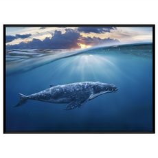 菠蘿選畫所 洋流下的座頭鯨掛畫 40 x 30cm 框 - 海洋風 居家裝飾, 黑色