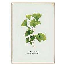 BOLUO GALLERY 菠蘿選畫所 枝繁葉茂 銀杏葉, 50 x 70cm, 木色