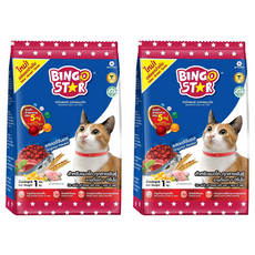 BINGOSTAR 喵斯塔 全年齡 美味成貓糧, 雞肉 + 牛肉, 1kg, 2袋