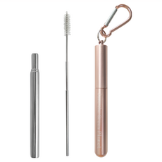 ROMEO 不鏽鋼 三段式吸管+三段式清潔刷+吊環收納盒 Set 玫瑰金, 1組