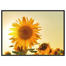 菠蘿選畫所 徜徉花海 向日葵V BFEF4618B 畫框, 黑色