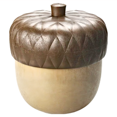 QUALy Acorntainer 橡果盒, 咖啡色, 1個