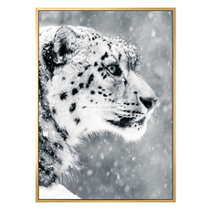 堅持 雪豹 金色 畫作, 金色框