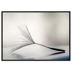 菠蘿選畫所 角落裡靜靜-蒲公英 BFDD4605B 59.4 x 42cm 畫框, 黑色