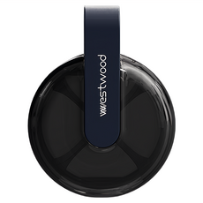 WESTWOOD 無毒維他命盒 黑曜石 4格, 1個