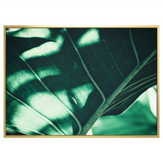 菠蘿選畫所 夏日翡翠I 掛畫 40 x 30cm 金色外框