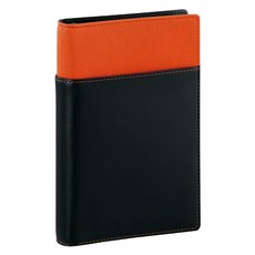 Raymay 藤井 Davinci 聖書 6孔內頁多用收納夾, 桔, 1本