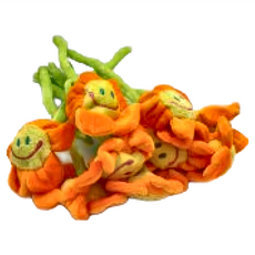 絨毛太陽花娃娃 小號 10個, 35cm, 橙色, 1組