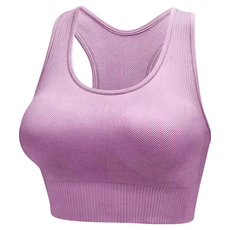 Homegym 歐美高強度挖背運動內衣 馬卡龍紫, M(65C~70C)