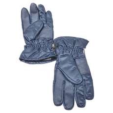 SNOW TRAVEL 雪之旅 3M 100%防水保暖手套, 藍色, L