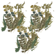 A-ONE 匯旺 真花壓花 小花包 Set 3個, 綠意盎然