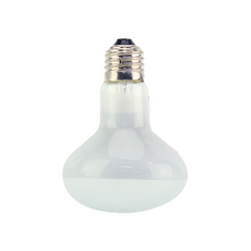 ISTA 伊士達 爬蟲聚熱燈泡, 25W/50W, 25w聚熱燈泡, 1個