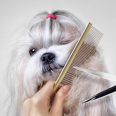 Babion 入門級鋁製雙面寵物梳 BCE3363, 金色, 1組