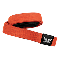 Lexports Fitness 勵動風潮 重量訓練健身彈力繩 40-50kg 熱情紅, 4 x 220cm, 1個