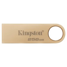 Kingston 金士頓 Metal USB 3.2 Gen 1 DataTraveler SE9 G3 隨身碟 DTSE9G3 220MB/s, 256GB, 1個