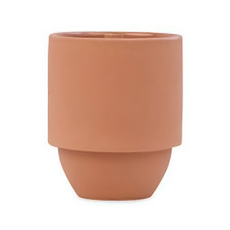 PADDYWAX 國家公園系列 香氛蠟燭 仙人掌花蕨類植物, 311g, 1罐