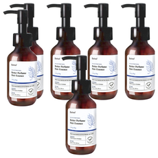 Daleaf 香氛護髮精華 Rainy Day 植物性精油 修護毛躁, 90ml, 6瓶