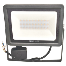 DANCELIGHT 舞光 30W 感應泛光燈 30K 黃光, 1個