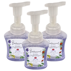 Muse 泡沫洗手液 (本體) 紫羅蘭和依蘭香, 250ml, 3瓶