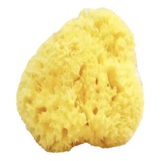 nIZio 希臘天然蜂巢海棉 中大型, 黃色, 1個