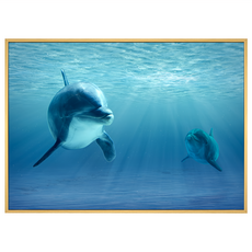 BOLUO GALLERY 菠蘿選畫所 海豚 微笑的力量 ANSL3416D 掛畫, 木色