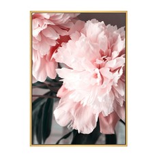 花開富貴 • 牡丹I 粉色牡丹花藝術掛畫, 木色