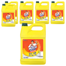 Mr Muscle 威猛先生 地板清潔劑 去污 快乾 光亮 除菌 芳香, 3.785L, 6桶