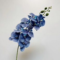 快豹生活 Orchid 九頭膠片蝴蝶蘭仿真花 克萊茵蘭 6支 居家裝飾, 6件