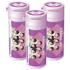 XYLITOL 木醣醇無糖口香糖 藍莓薄荷風味, 26.1g, 3罐