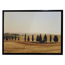 浪漫主義 田野 黑框, 黑色