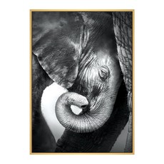 依偎 大象, 木色