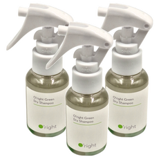 O'right 歐萊德 植萃乾洗髮, 去油除味 清新舒暢 終結油膩 舒適自在 先乾為淨 無油無慮, 60ml, 3瓶