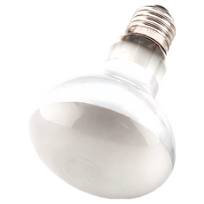 OTTO 建興水族 奧圖 75W爬蟲聚熱燈泡, 提供UVA光波, 提升環境溫度, E27, 1個