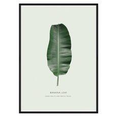 菠蘿選畫所 生氣盎然芭蕉葉 掛畫, 黑色