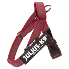 JULIUS-K9 Color & Gray 輕量化胸背帶 匈牙利製造, 紅, 1入