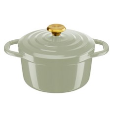 Tefal 特福 IH電磁爐適用Air雙耳鑄鐵鍋 淡綠色 1個 20cm