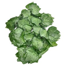 仿真葡萄葉 36片 12條裝, 1包