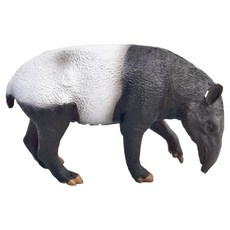 COLLECTA 野生動物系列動物模型玩具 - 馬來貘, 馬來, 1個