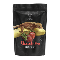 GECKO NUTRITION GN果泥 草莓口味 守宮飼料, 超完整營養成分 專為樹棲守宮設計, 1包, 250g